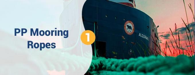 Venta al por mayor 220 M Polipropileno de PP de alta resistencia blanco 8 hebras 68 mm cuerda de amarre para remolque 0